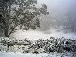 snow in the crater of Mt Buninyong